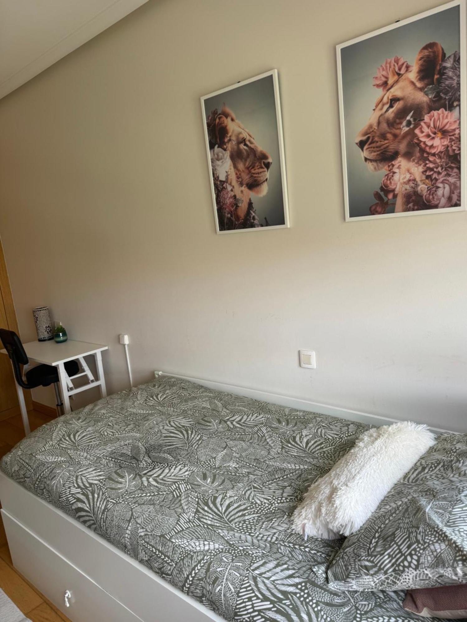 Habitaciones De Lujo Con Hermosas Vistas A La Cuidad บูร์โกส ภายนอก รูปภาพ